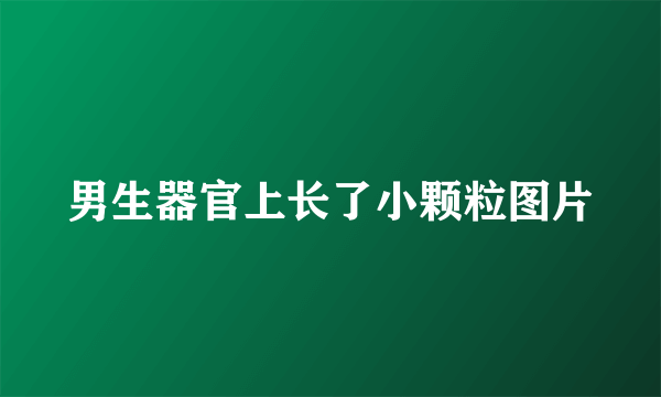 男生器官上长了小颗粒图片