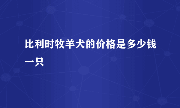 比利时牧羊犬的价格是多少钱一只