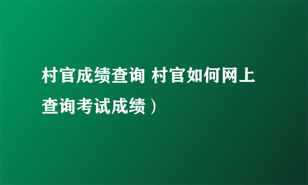 村官成绩查询 村官如何网上查询考试成绩）