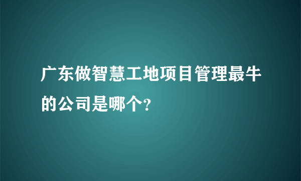 广东做智慧工地项目管理最牛的公司是哪个？