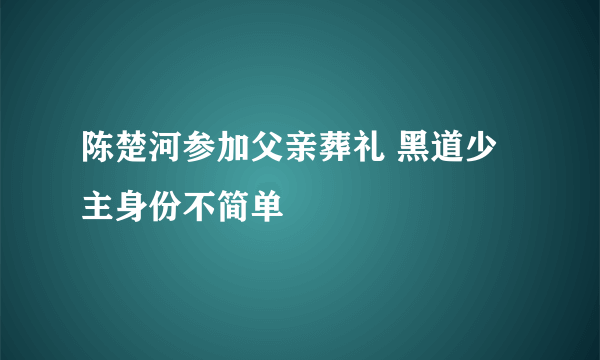 陈楚河参加父亲葬礼 黑道少主身份不简单