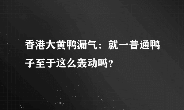 香港大黄鸭漏气：就一普通鸭子至于这么轰动吗？