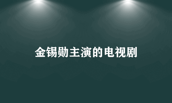 金锡勋主演的电视剧