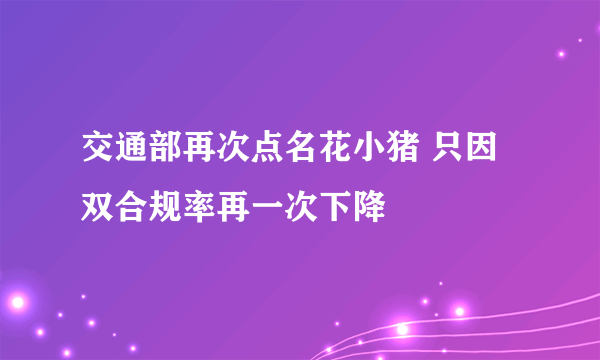 交通部再次点名花小猪 只因双合规率再一次下降