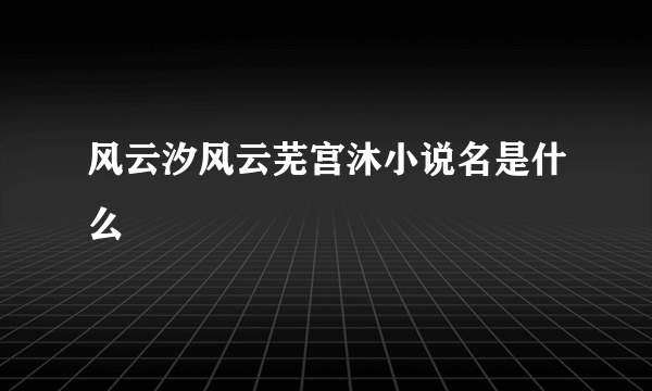 风云汐风云芜宫沐小说名是什么