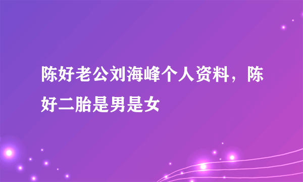 陈好老公刘海峰个人资料，陈好二胎是男是女