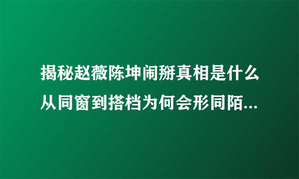 揭秘赵薇陈坤闹掰真相是什么从同窗到搭档为何会形同陌路_飞外网