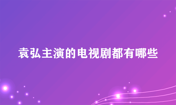 袁弘主演的电视剧都有哪些