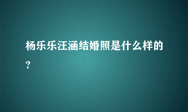 杨乐乐汪涵结婚照是什么样的？