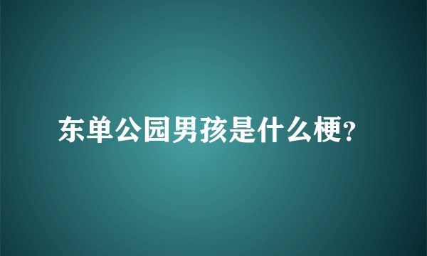 东单公园男孩是什么梗？