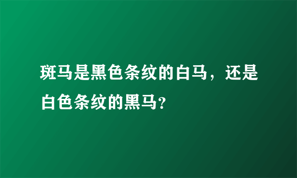 斑马是黑色条纹的白马，还是白色条纹的黑马？