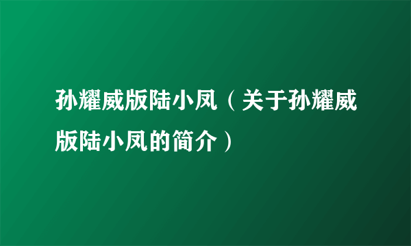 孙耀威版陆小凤（关于孙耀威版陆小凤的简介）