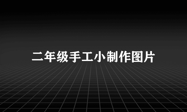 二年级手工小制作图片