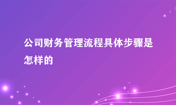 公司财务管理流程具体步骤是怎样的