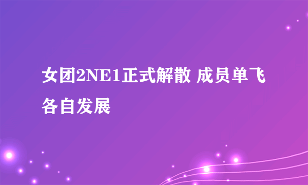 女团2NE1正式解散 成员单飞各自发展