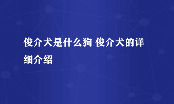 俊介犬是什么狗 俊介犬的详细介绍