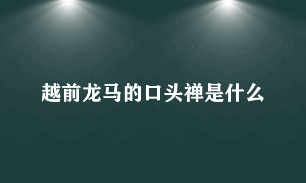 越前龙马的口头禅是什么