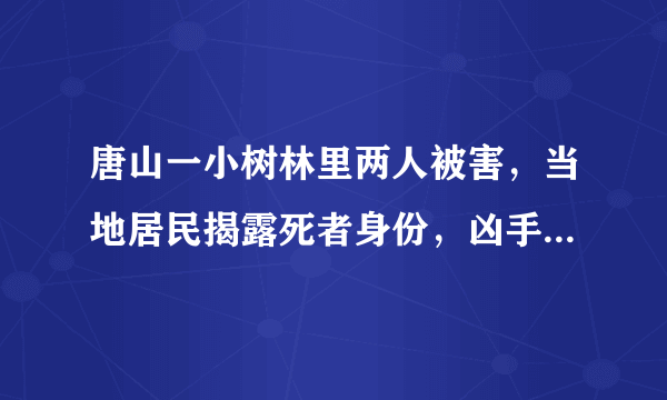 唐山一小树林里两人被害，当地居民揭露死者身份，凶手为何敢顶风作案？