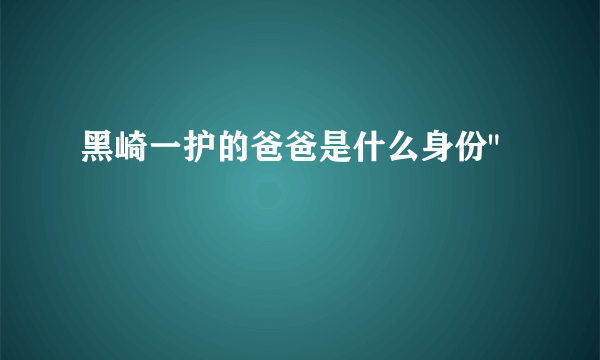 黑崎一护的爸爸是什么身份