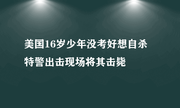 美国16岁少年没考好想自杀 特警出击现场将其击毙