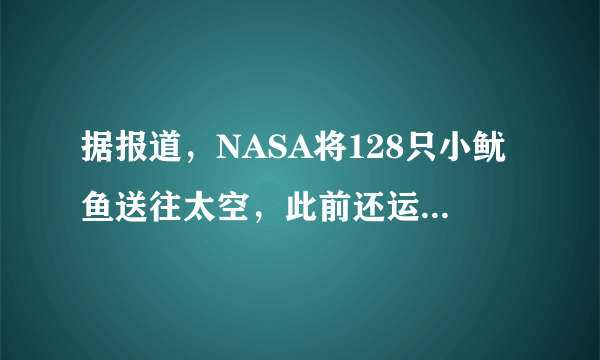 据报道，NASA将128只小鱿鱼送往太空，此前还运送过哪些东西？