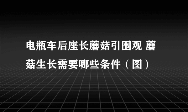 电瓶车后座长蘑菇引围观 蘑菇生长需要哪些条件（图）