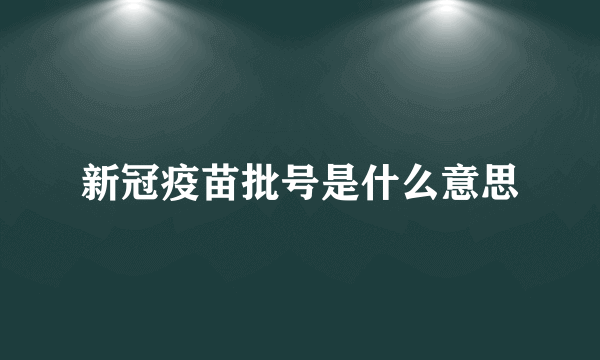 新冠疫苗批号是什么意思