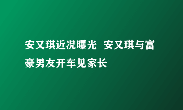 安又琪近况曝光  安又琪与富豪男友开车见家长