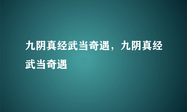 九阴真经武当奇遇，九阴真经武当奇遇