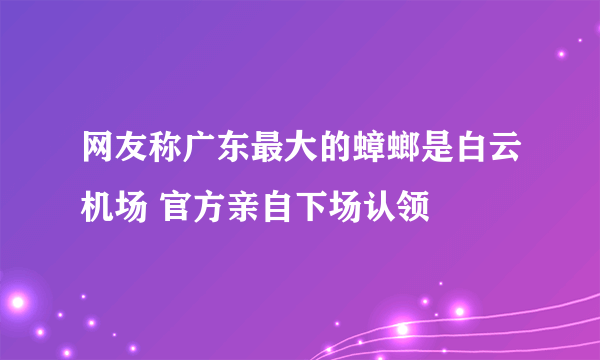 网友称广东最大的蟑螂是白云机场 官方亲自下场认领