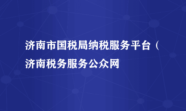 济南市国税局纳税服务平台（济南税务服务公众网