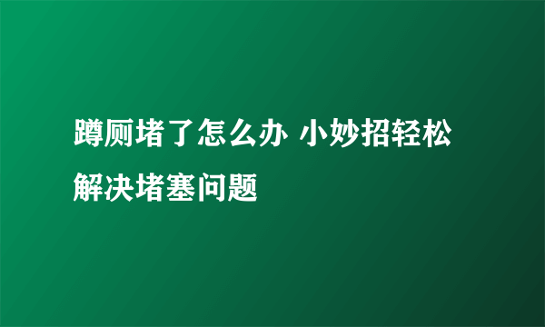 蹲厕堵了怎么办 小妙招轻松解决堵塞问题