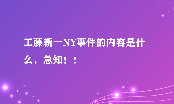 工藤新一NY事件的内容是什么，急知！！