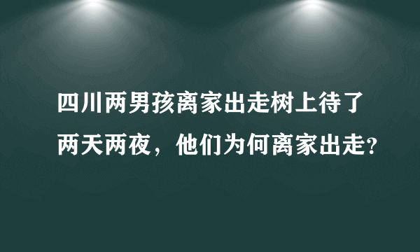 四川两男孩离家出走树上待了两天两夜，他们为何离家出走？