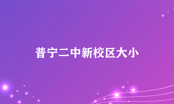 普宁二中新校区大小