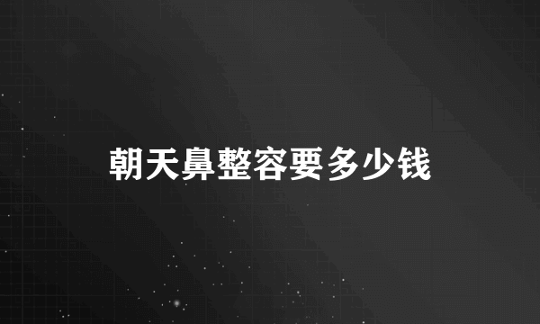 朝天鼻整容要多少钱