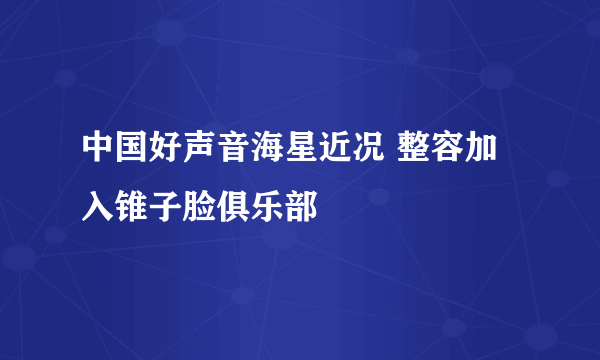 中国好声音海星近况 整容加入锥子脸俱乐部