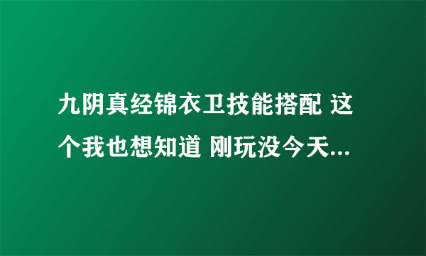 九阴真经锦衣卫技能搭配 这个我也想知道 刚玩没今天 你也帮帮我把 谢谢了