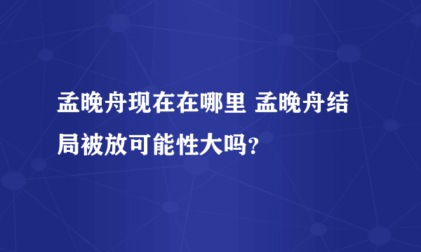 孟晚舟现在在哪里 孟晚舟结局被放可能性大吗？