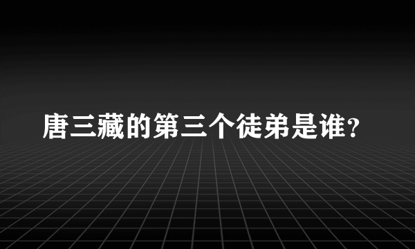 唐三藏的第三个徒弟是谁？