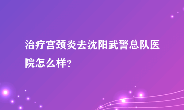 治疗宫颈炎去沈阳武警总队医院怎么样？