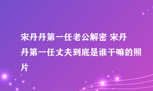 宋丹丹第一任老公解密 宋丹丹第一任丈夫到底是谁干嘛的照片