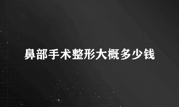 鼻部手术整形大概多少钱