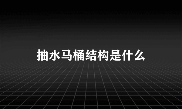 抽水马桶结构是什么