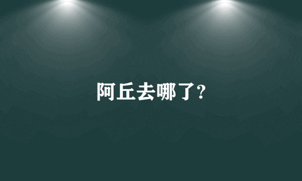 阿丘去哪了?