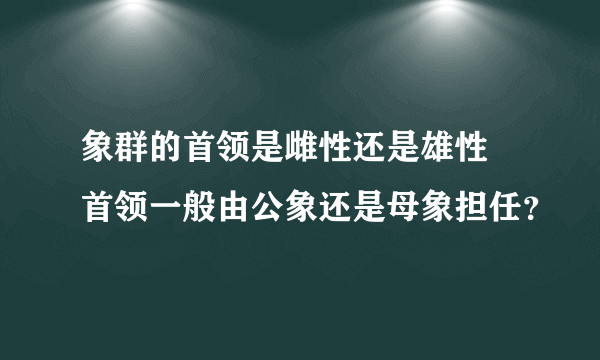 象群的首领是雌性还是雄性 首领一般由公象还是母象担任？