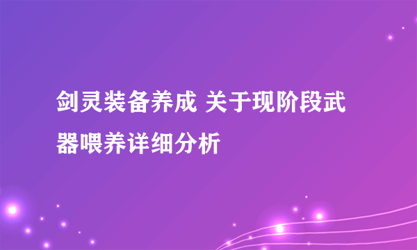 剑灵装备养成 关于现阶段武器喂养详细分析