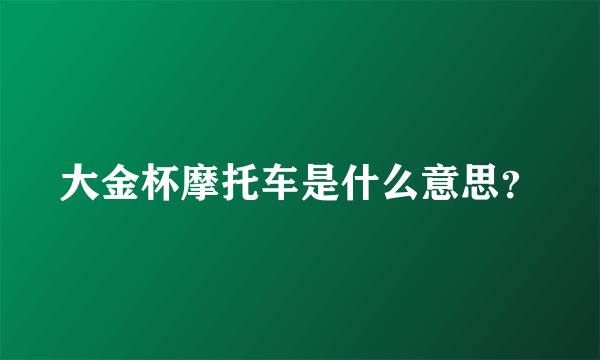 大金杯摩托车是什么意思？