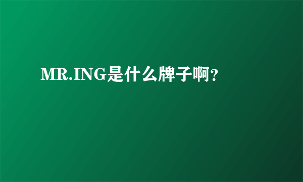 MR.ING是什么牌子啊？