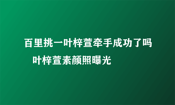 百里挑一叶梓萱牵手成功了吗   叶梓萱素颜照曝光